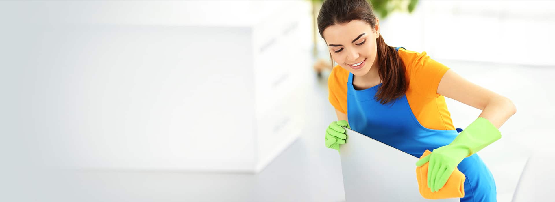 Cleaning Services